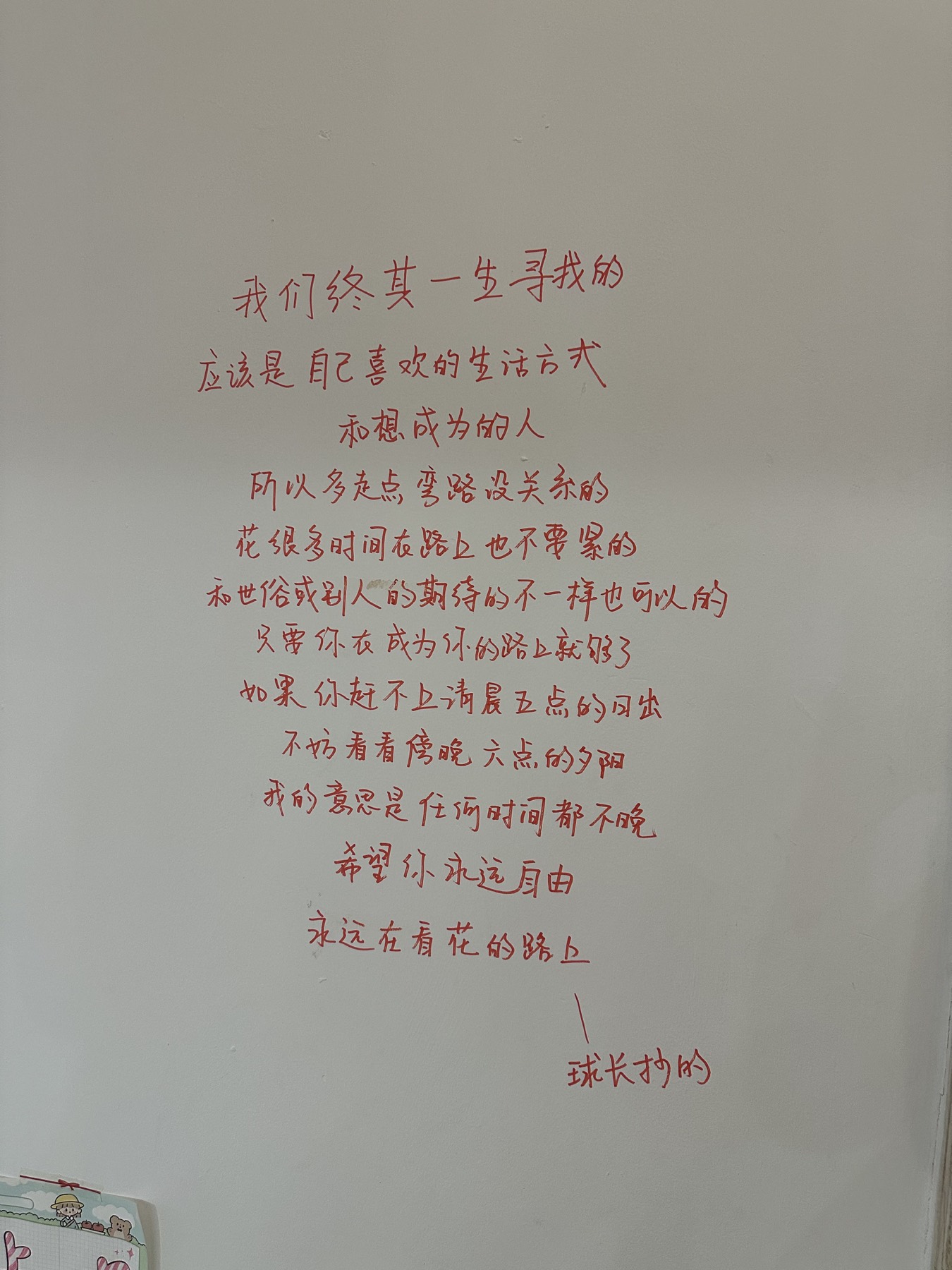 街边的车和树影
